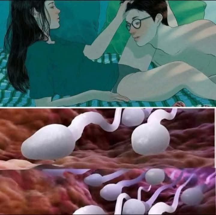 🛑 Studies reveal that swallowing your partner’s semen…🛑 Studies reveal that swallowing your partner’s semen